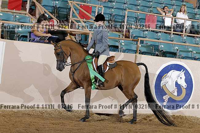Proof 11yn_03216