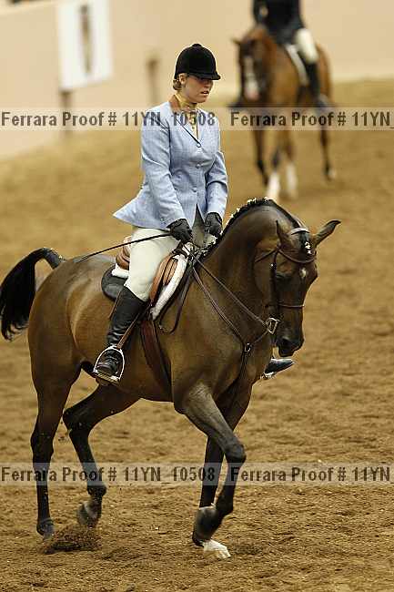 Proof 11yn_10508