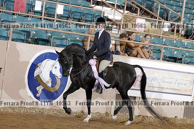 Proof 11yn_10563