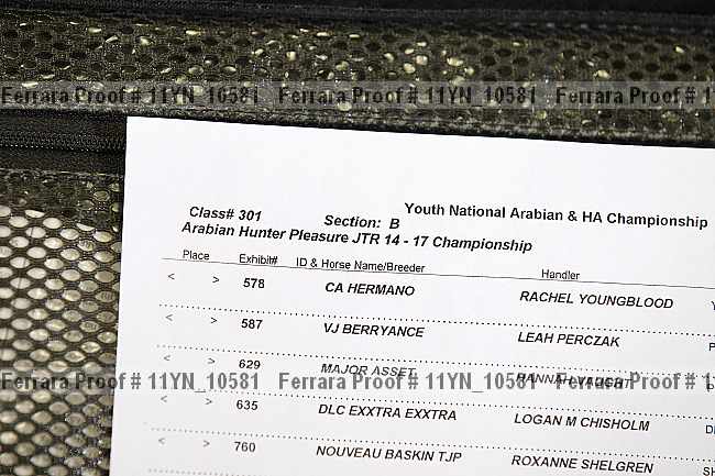 Proof 11yn_10581
