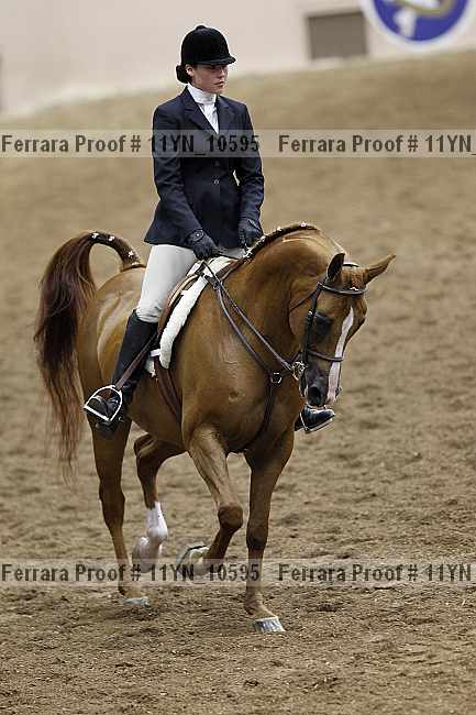 Proof 11yn_10595
