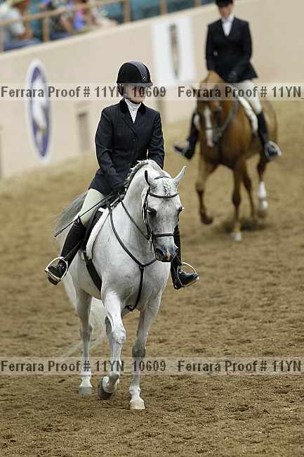 Proof 11yn_10609