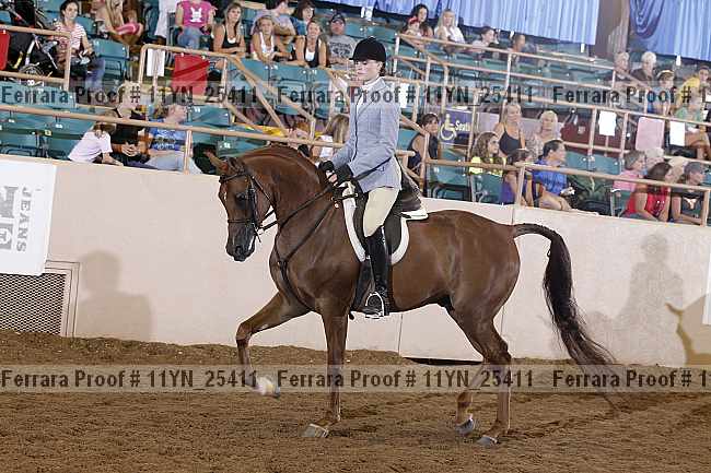 Proof 11yn_25411