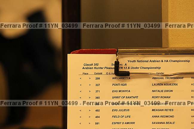 Proof 11yn_03499