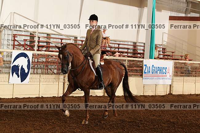 Proof 11yn_03505
