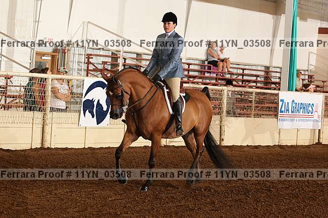 Proof 11yn_03508