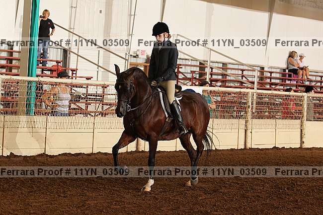 Proof 11yn_03509