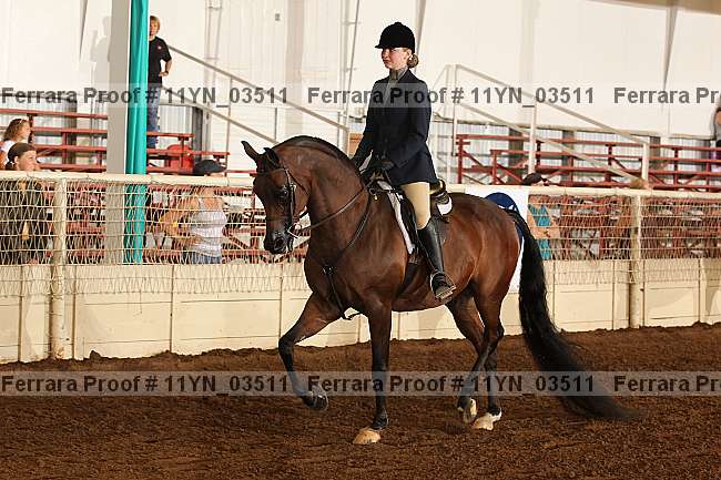 Proof 11yn_03511