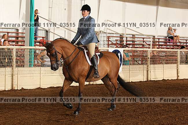 Proof 11yn_03515