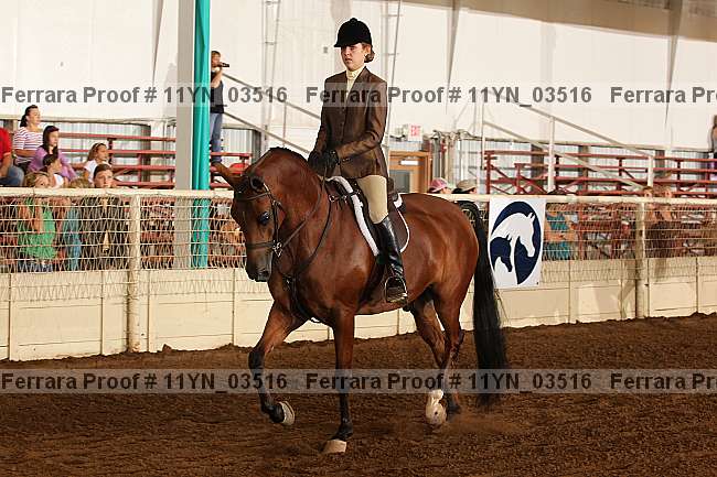 Proof 11yn_03516