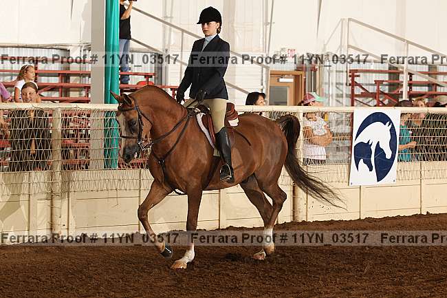 Proof 11yn_03517