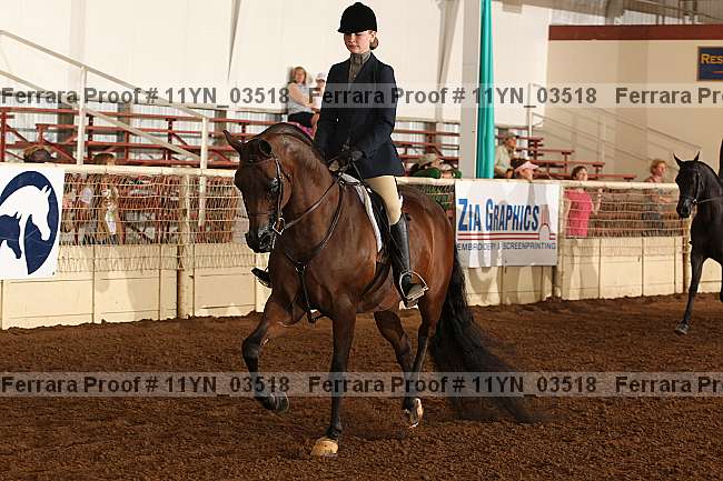 Proof 11yn_03518