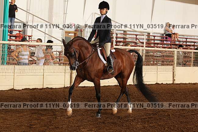 Proof 11yn_03519