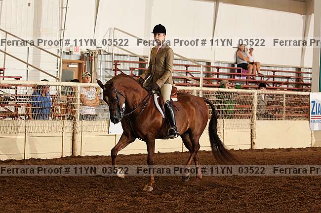 Proof 11yn_03522