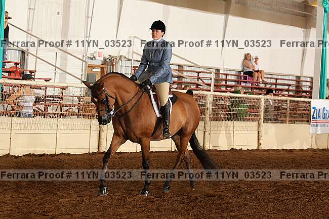 Proof 11yn_03523