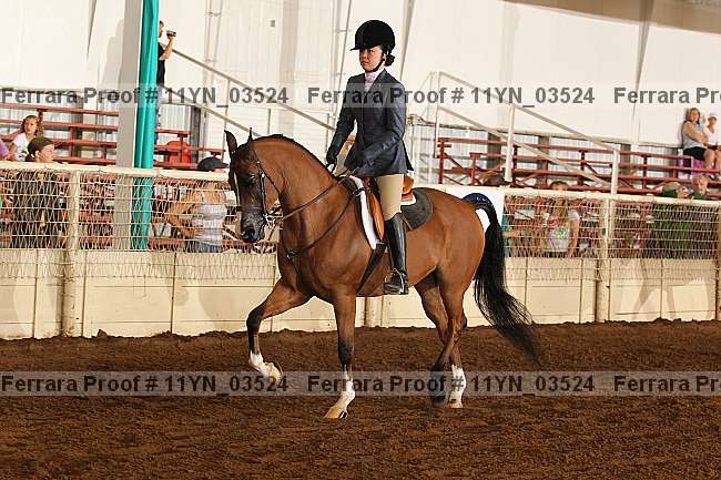 Proof 11yn_03524