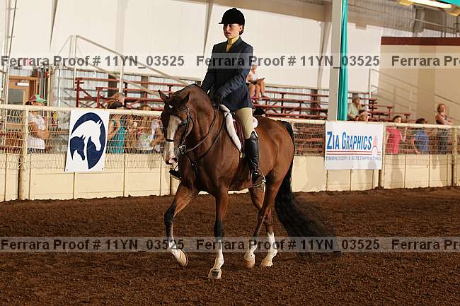 Proof 11yn_03525