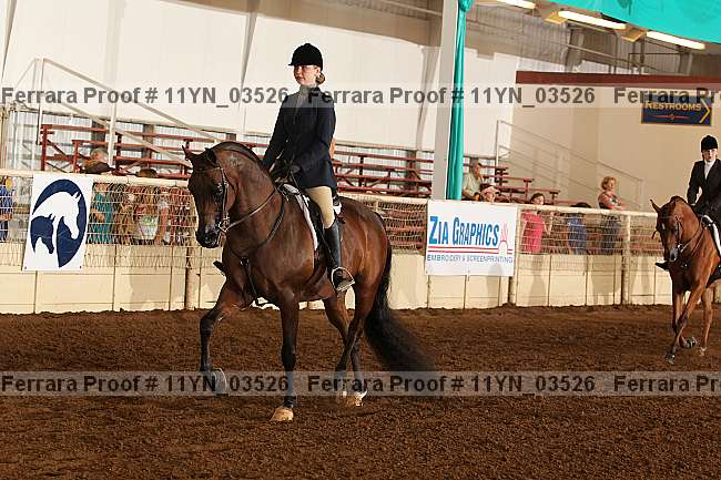 Proof 11yn_03526