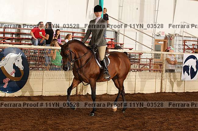 Proof 11yn_03528