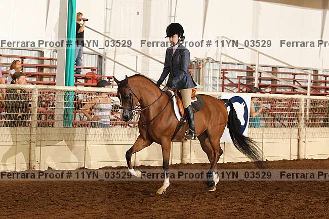 Proof 11yn_03529