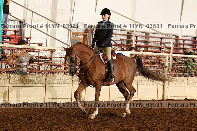 Proof 11yn_03531