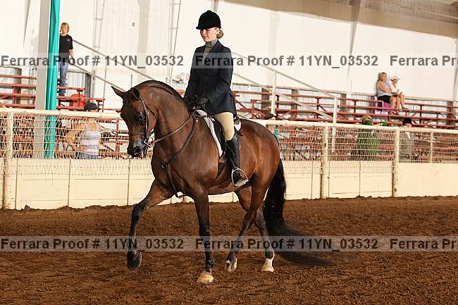 Proof 11yn_03532