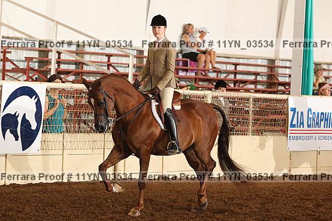 Proof 11yn_03534