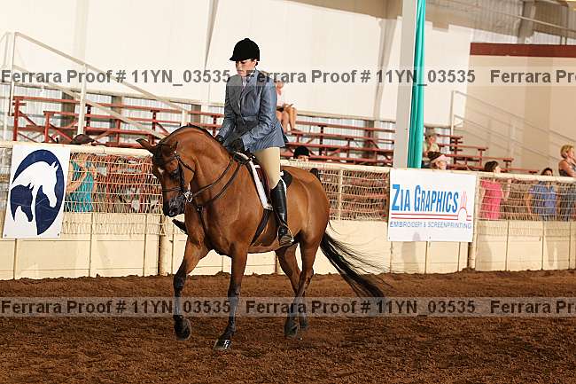 Proof 11yn_03535