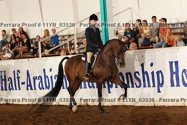 Proof 11yn_03536
