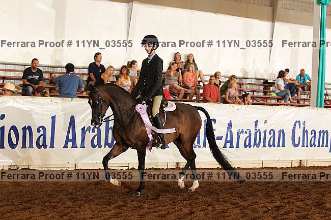 Proof 11yn_03555