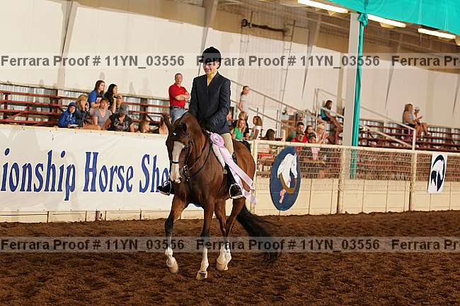 Proof 11yn_03556