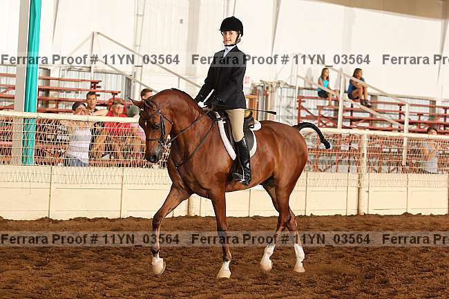 Proof 11yn_03564
