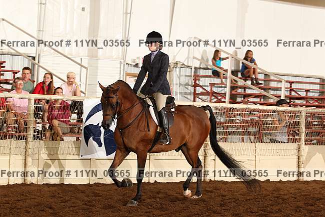 Proof 11yn_03565
