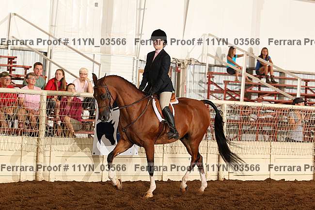 Proof 11yn_03566