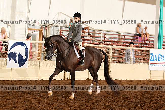 Proof 11yn_03568
