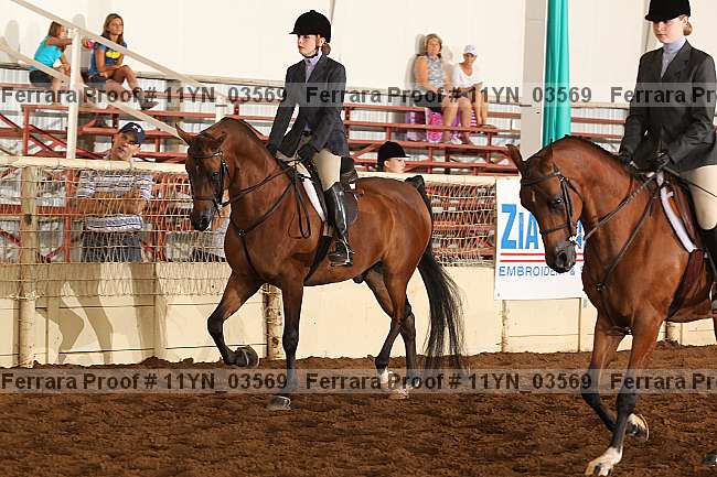 Proof 11yn_03569