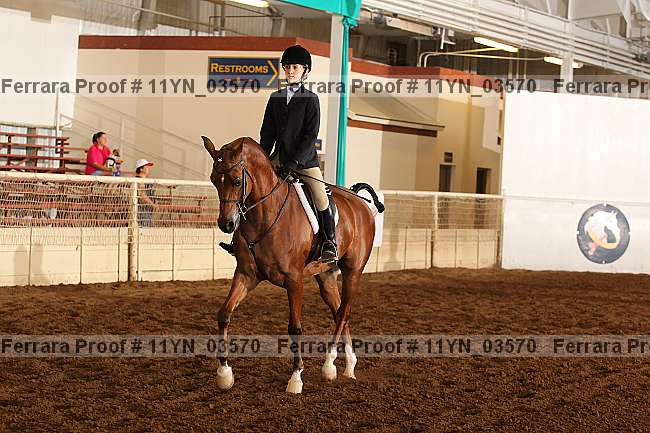 Proof 11yn_03570