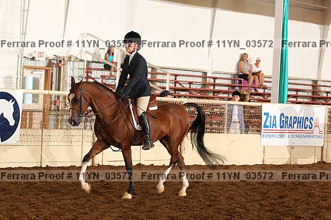 Proof 11yn_03572