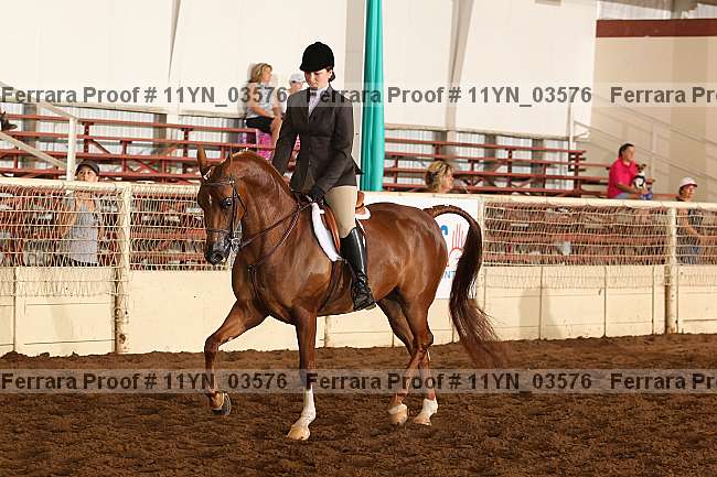 Proof 11yn_03576