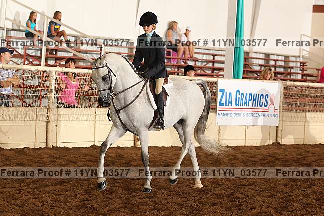 Proof 11yn_03577