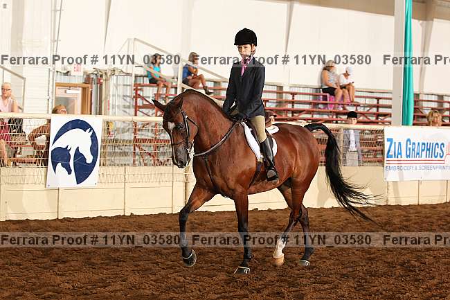 Proof 11yn_03580