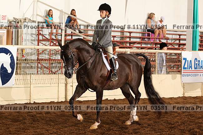 Proof 11yn_03581