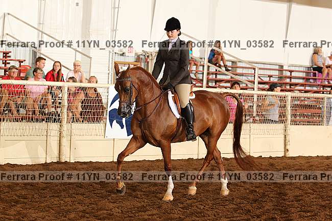 Proof 11yn_03582