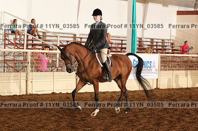 Proof 11yn_03585