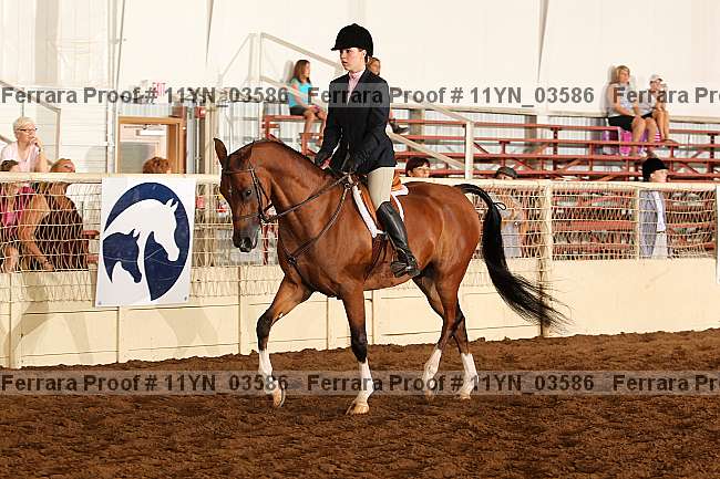 Proof 11yn_03586
