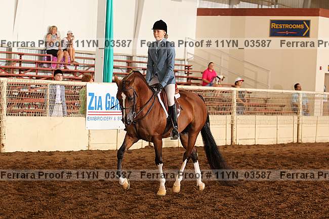 Proof 11yn_03587