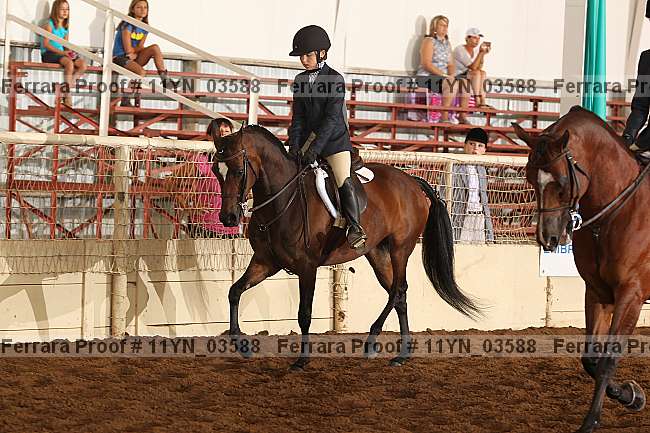 Proof 11yn_03588