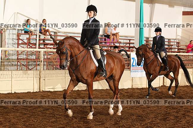 Proof 11yn_03590