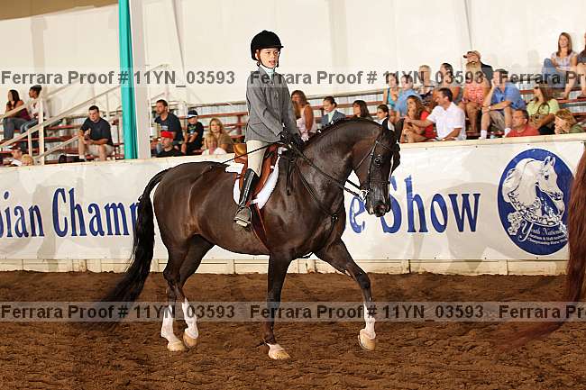Proof 11yn_03593
