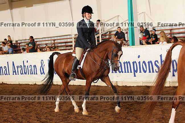 Proof 11yn_03596